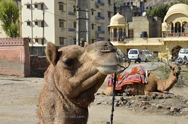 05 Fort_Amber-Jaipur_DSC5172_b_H600